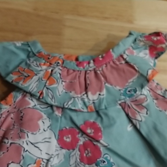 Child of Mine Dress made by Carter's - Picture 3 of 3